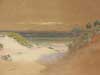 Beach Dunes image
